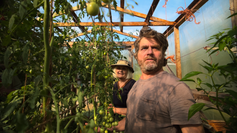 Descubre la nueva colaboración entre Zach Galifianakis y Netflix en This Is A Gardening Show, una propuesta innovadora.